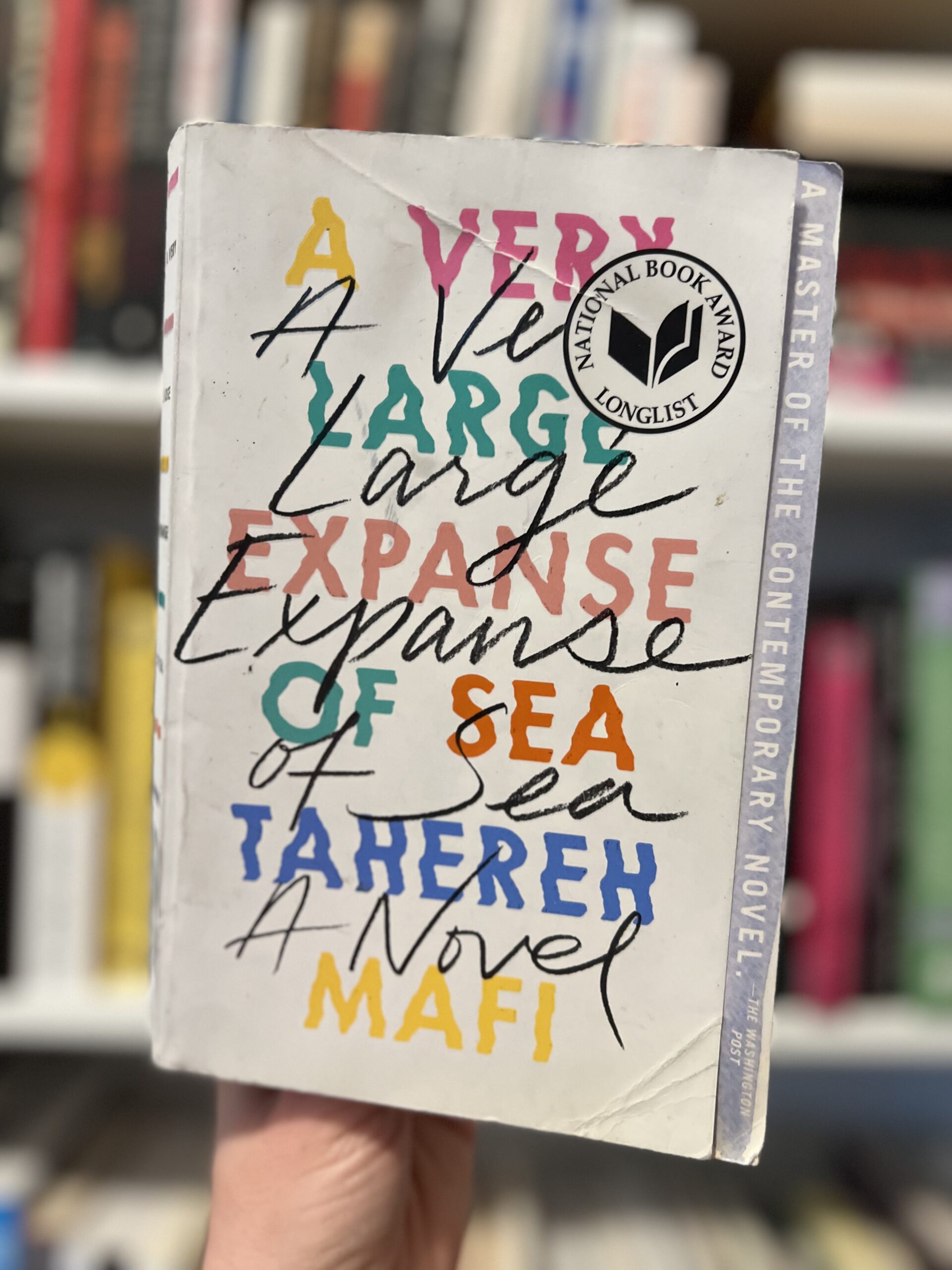 A Very Large Expanse of Sea